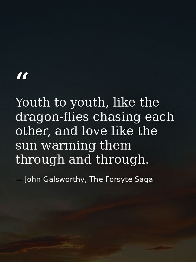 Youth to youth, like the dragon-flies chasing each other, and love like the sun warming them through and through. — John Galsworthy, The Forsyte Saga