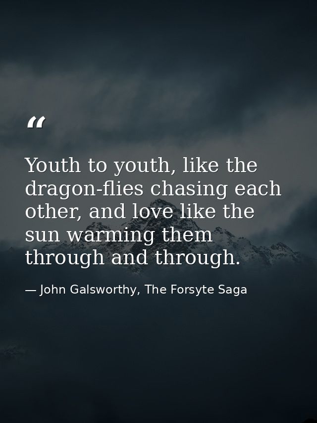 Youth to youth, like the dragon-flies chasing each other, and love like the sun warming them through and through. — John Galsworthy, The Forsyte Saga