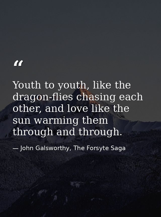 Youth to youth, like the dragon-flies chasing each other, and love like the sun warming them through and through. — John Galsworthy, The Forsyte Saga