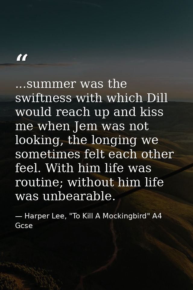 ...summer was the swiftness with which Dill would reach up and kiss me when Jem was not looking, the longing we sometime — Harper Lee, "To Kill A Mockingbird" A4 Gcse