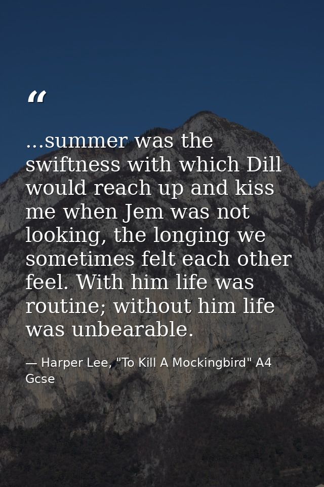 ...summer was the swiftness with which Dill would reach up and kiss me when Jem was not looking, the longing we sometime — Harper Lee, "To Kill A Mockingbird" A4 Gcse