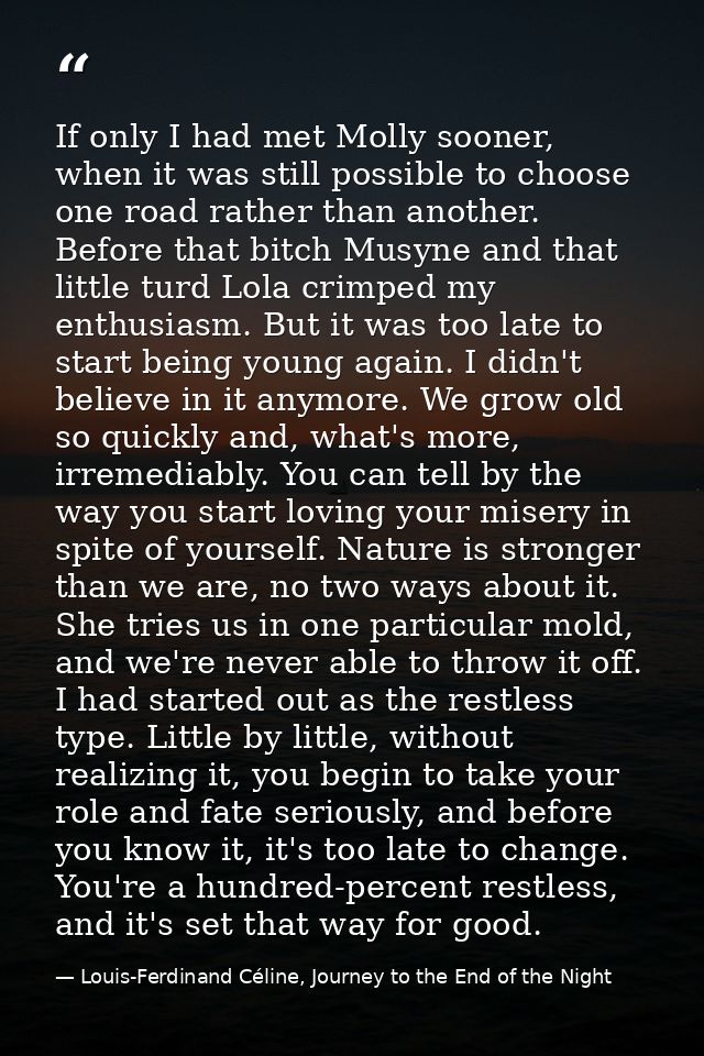 If only I had met Molly sooner, when it was still possible to choose one road rather than another. Before that bitch Mus — Louis-Ferdinand Céline, Journey to the End of the Night