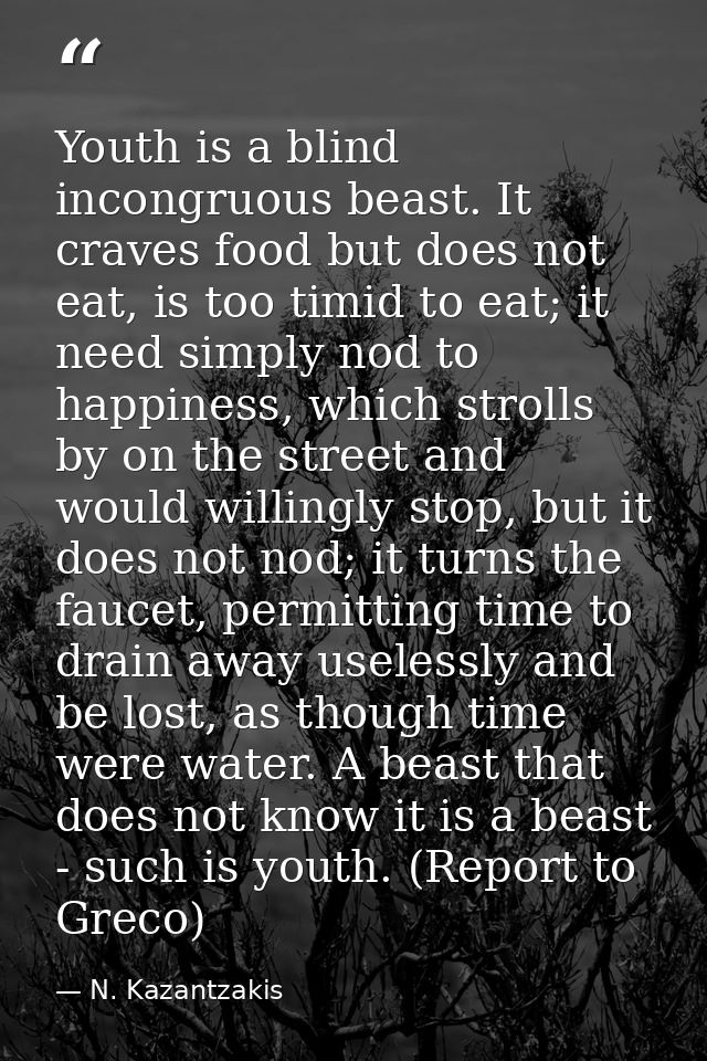 Youth is a blind incongruous beast. It craves food but does not eat, is too timid to eat; it need simply nod to happines — N. Kazantzakis