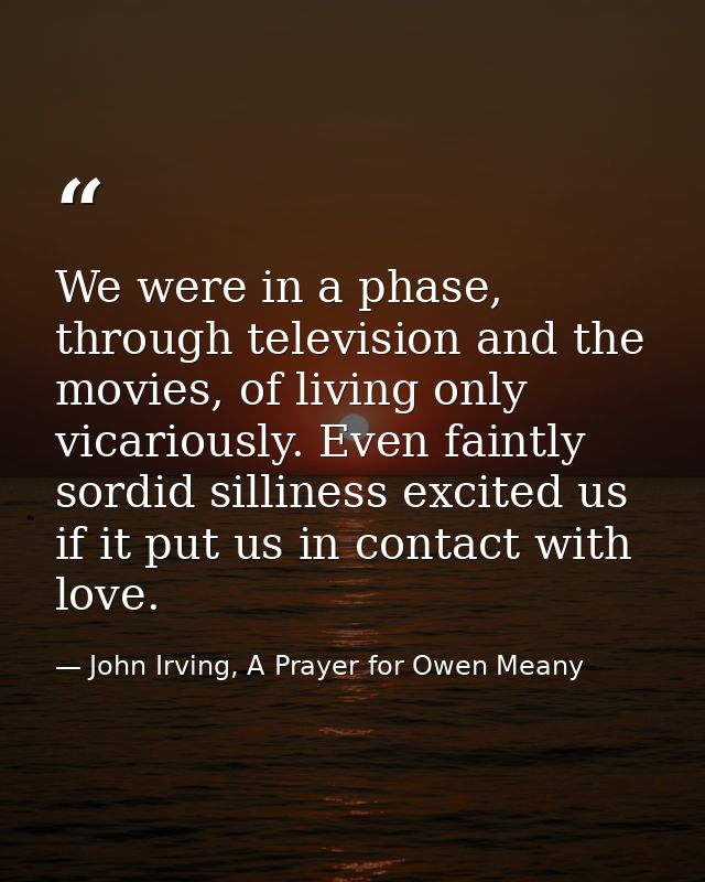 We were in a phase, through television and the movies, of living only vicariously. Even faintly sordid silliness excited — John Irving, A Prayer for Owen Meany