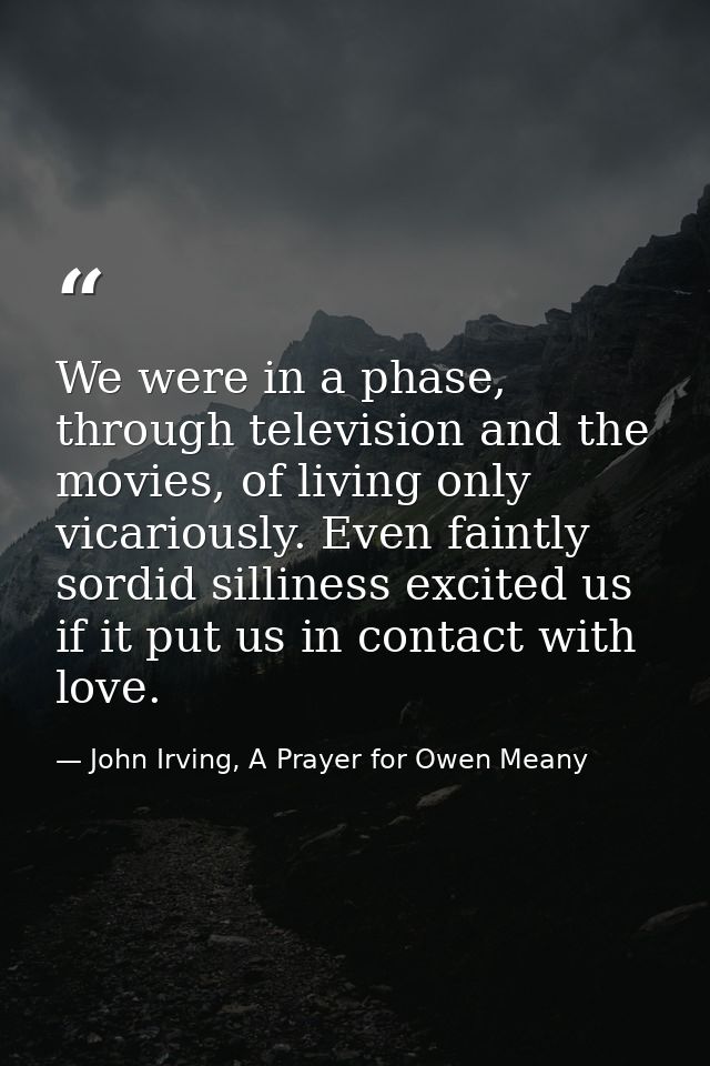 We were in a phase, through television and the movies, of living only vicariously. Even faintly sordid silliness excited — John Irving, A Prayer for Owen Meany