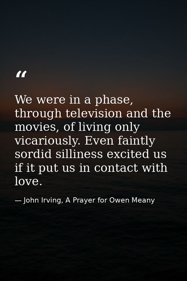 We were in a phase, through television and the movies, of living only vicariously. Even faintly sordid silliness excited — John Irving, A Prayer for Owen Meany