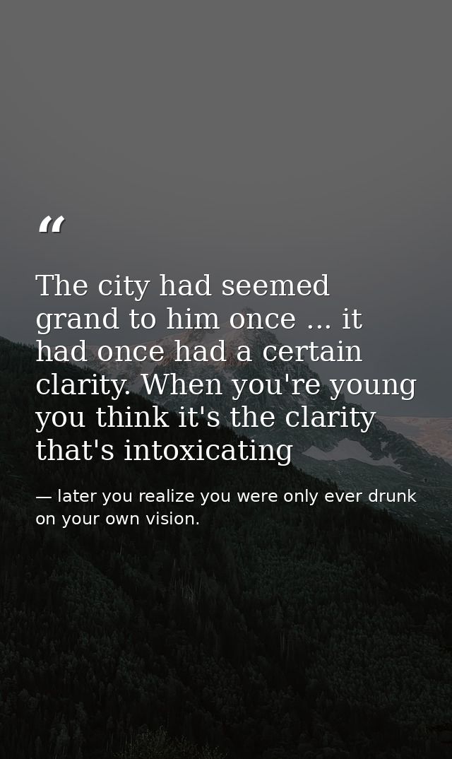 The city had seemed grand to him once ... it had once had a certain clarity. When you're young you think it's the clarit — later you realize you were only ever drunk on your own vision.
