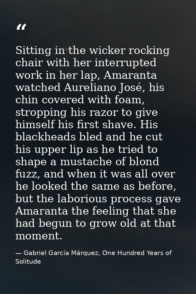 Sitting in the wicker rocking chair with her interrupted work in her lap, Amaranta watched Aureliano José, his chin cove — Gabriel García Márquez, One Hundred Years of Solitude