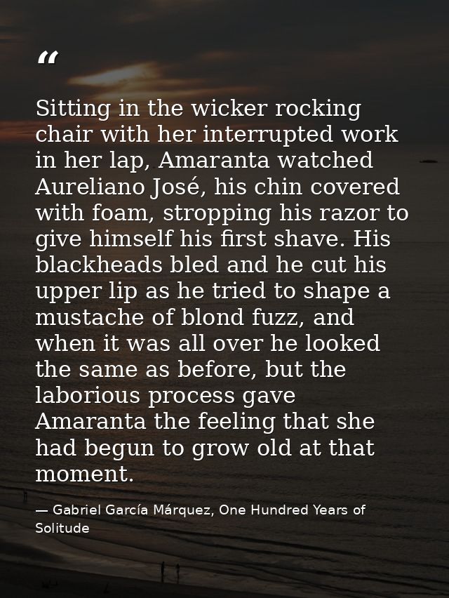 Sitting in the wicker rocking chair with her interrupted work in her lap, Amaranta watched Aureliano José, his chin cove — Gabriel García Márquez, One Hundred Years of Solitude