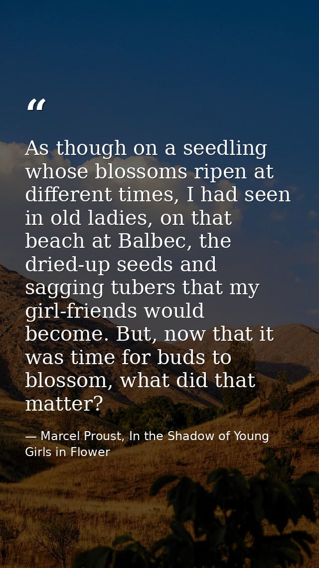 As though on a seedling whose blossoms ripen at different times, I had seen in old ladies, on that beach at Balbec, the  — Marcel Proust, In the Shadow of Young Girls in Flower