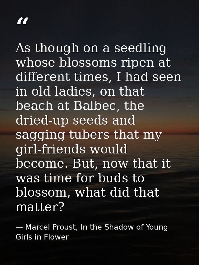 As though on a seedling whose blossoms ripen at different times, I had seen in old ladies, on that beach at Balbec, the  — Marcel Proust, In the Shadow of Young Girls in Flower