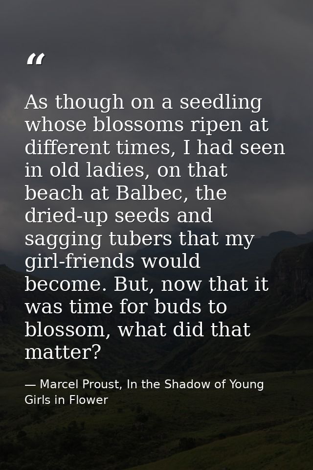 As though on a seedling whose blossoms ripen at different times, I had seen in old ladies, on that beach at Balbec, the  — Marcel Proust, In the Shadow of Young Girls in Flower