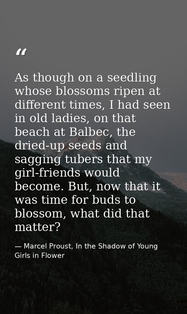 As though on a seedling whose blossoms ripen at different times, I had seen in old ladies, on that beach at Balbec, the  — Marcel Proust, In the Shadow of Young Girls in Flower