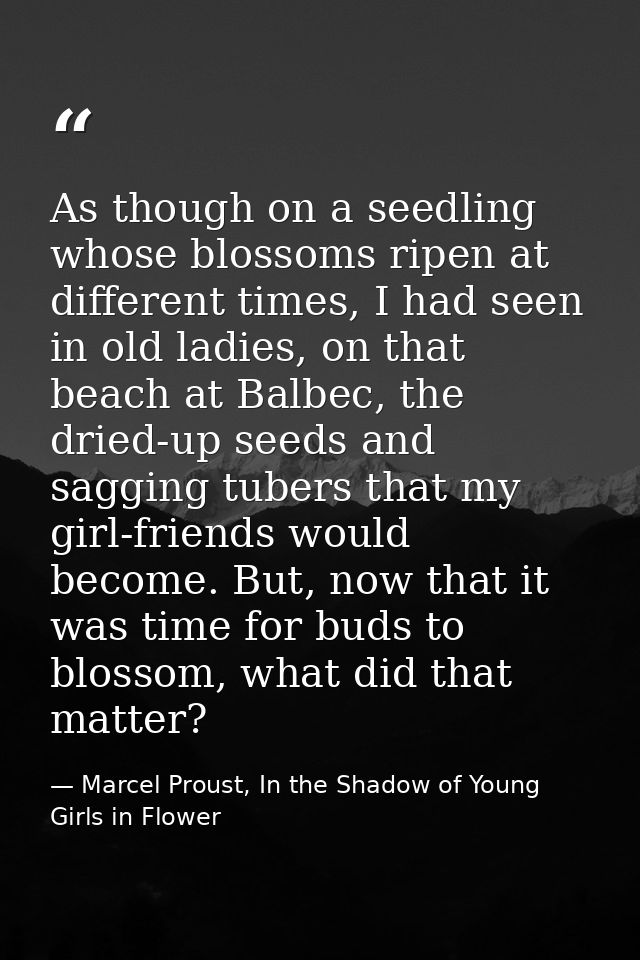 As though on a seedling whose blossoms ripen at different times, I had seen in old ladies, on that beach at Balbec, the  — Marcel Proust, In the Shadow of Young Girls in Flower