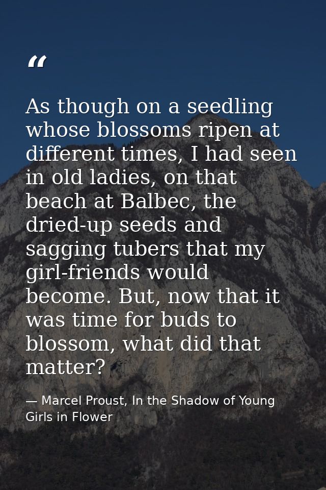 As though on a seedling whose blossoms ripen at different times, I had seen in old ladies, on that beach at Balbec, the  — Marcel Proust, In the Shadow of Young Girls in Flower