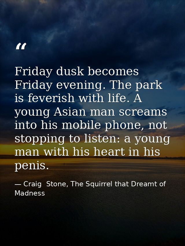 Friday dusk becomes Friday evening. The park is feverish with life. A young Asian man screams into his mobile phone, not — Craig  Stone, The Squirrel that Dreamt of Madness