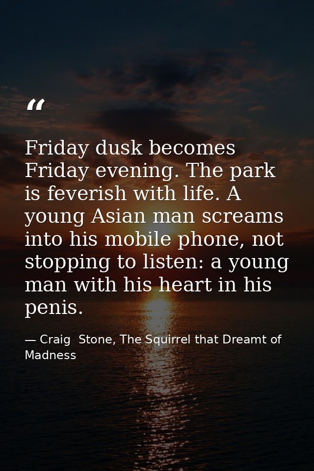 Friday dusk becomes Friday evening. The park is feverish with life. A young Asian man screams into his mobile phone, not — Craig  Stone, The Squirrel that Dreamt of Madness