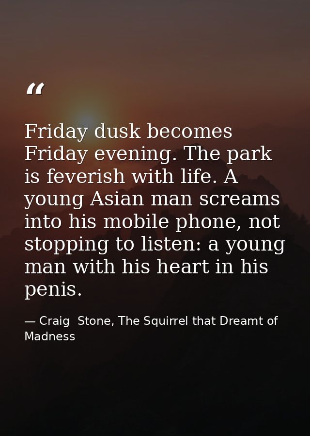 Friday dusk becomes Friday evening. The park is feverish with life. A young Asian man screams into his mobile phone, not — Craig  Stone, The Squirrel that Dreamt of Madness