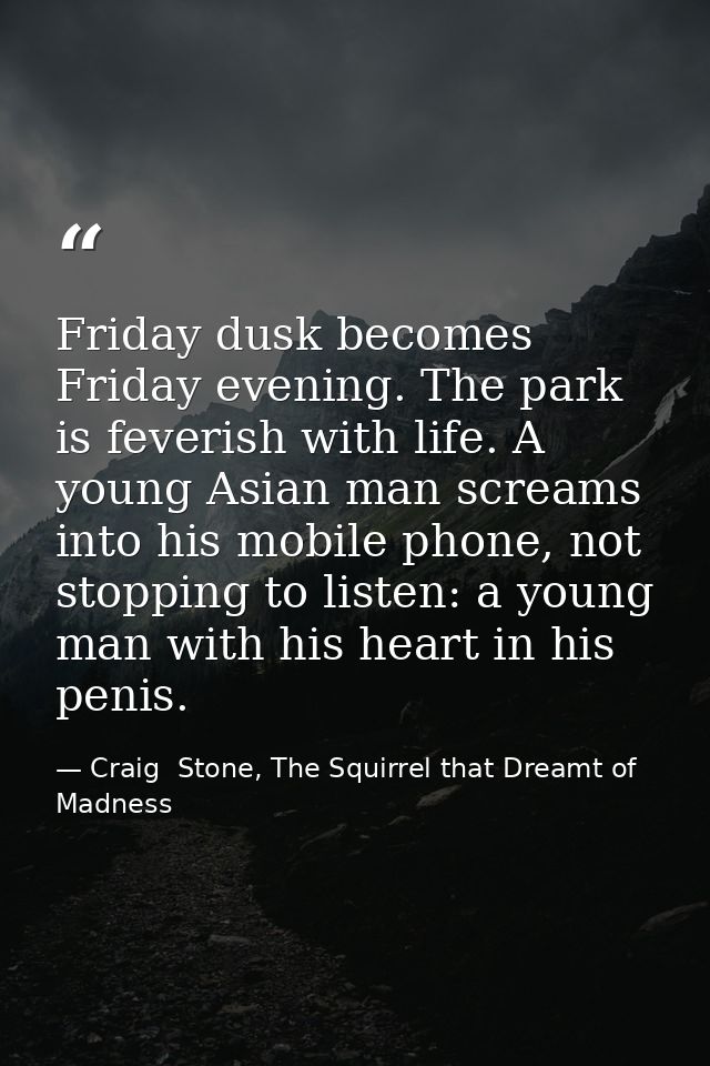 Friday dusk becomes Friday evening. The park is feverish with life. A young Asian man screams into his mobile phone, not — Craig  Stone, The Squirrel that Dreamt of Madness