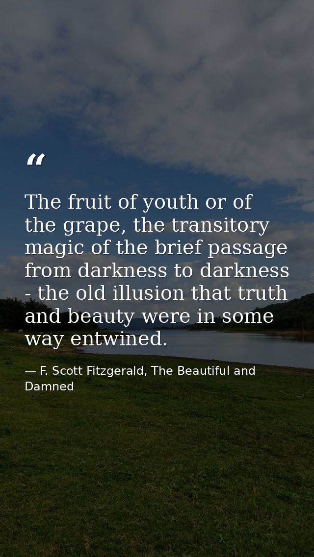 The fruit of youth or of the grape, the transitory magic of the brief passage from darkness to darkness - the old illusi — F. Scott Fitzgerald, The Beautiful and Damned
