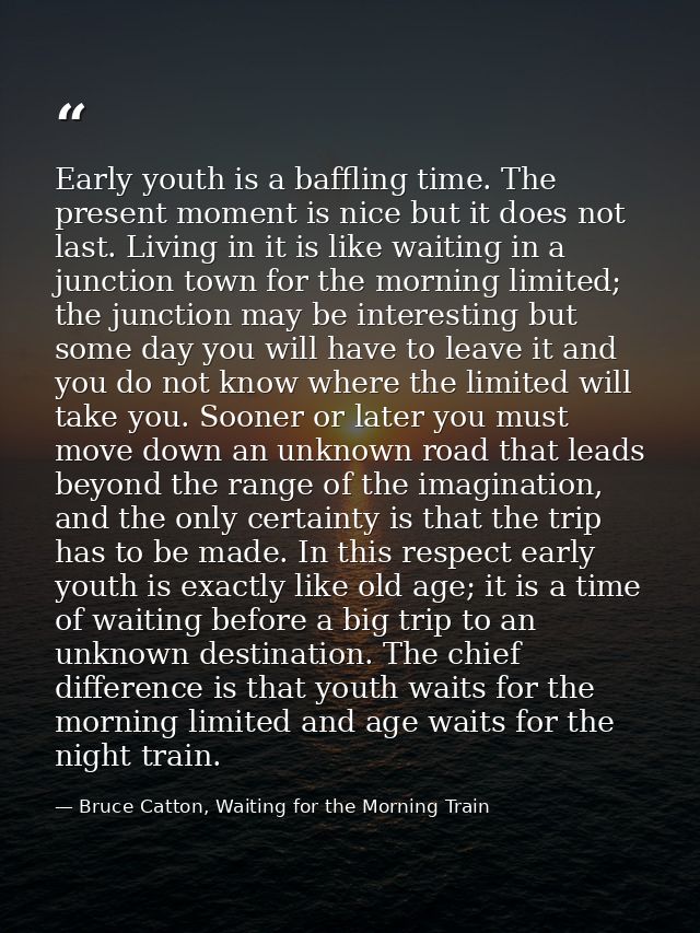 Early youth is a baffling time. The present moment is nice but it does not last. Living in it is like waiting in a junct — Bruce Catton, Waiting for the Morning Train