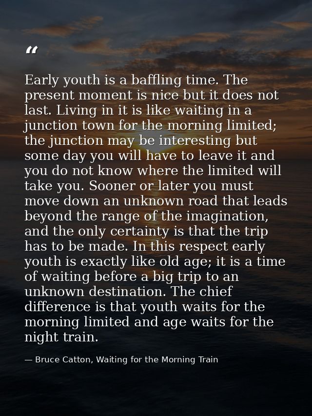 Early youth is a baffling time. The present moment is nice but it does not last. Living in it is like waiting in a junct — Bruce Catton, Waiting for the Morning Train