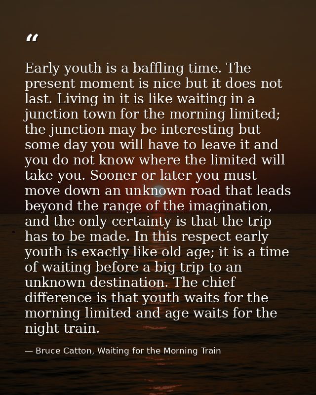 Early youth is a baffling time. The present moment is nice but it does not last. Living in it is like waiting in a junct — Bruce Catton, Waiting for the Morning Train