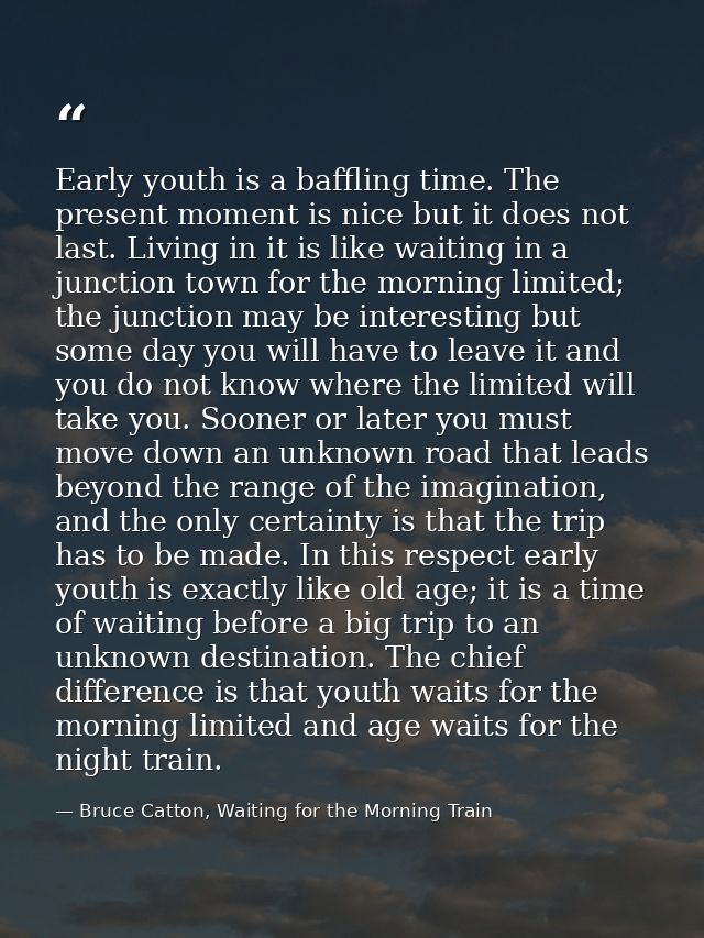Early youth is a baffling time. The present moment is nice but it does not last. Living in it is like waiting in a junct — Bruce Catton, Waiting for the Morning Train
