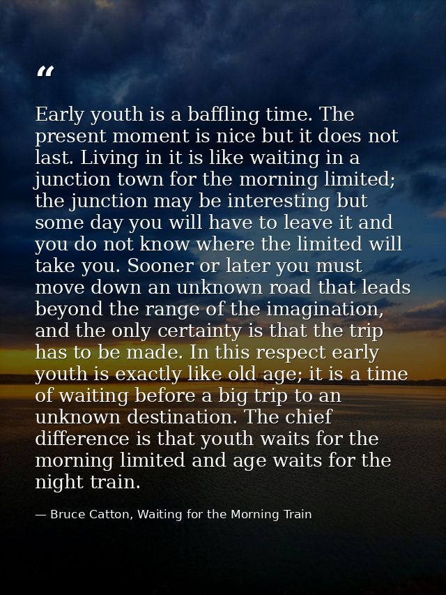 Early youth is a baffling time. The present moment is nice but it does not last. Living in it is like waiting in a junct — Bruce Catton, Waiting for the Morning Train
