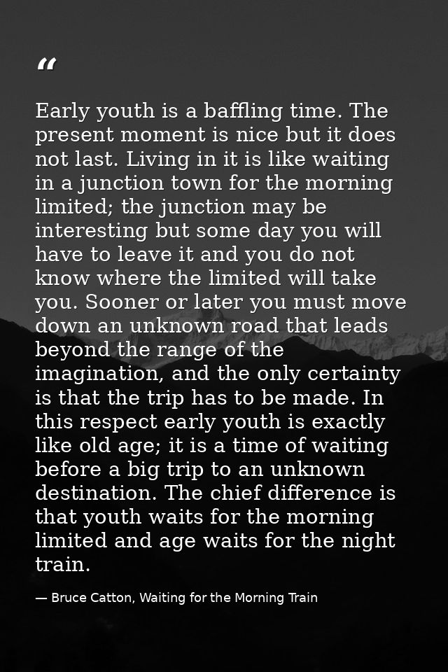 Early youth is a baffling time. The present moment is nice but it does not last. Living in it is like waiting in a junct — Bruce Catton, Waiting for the Morning Train