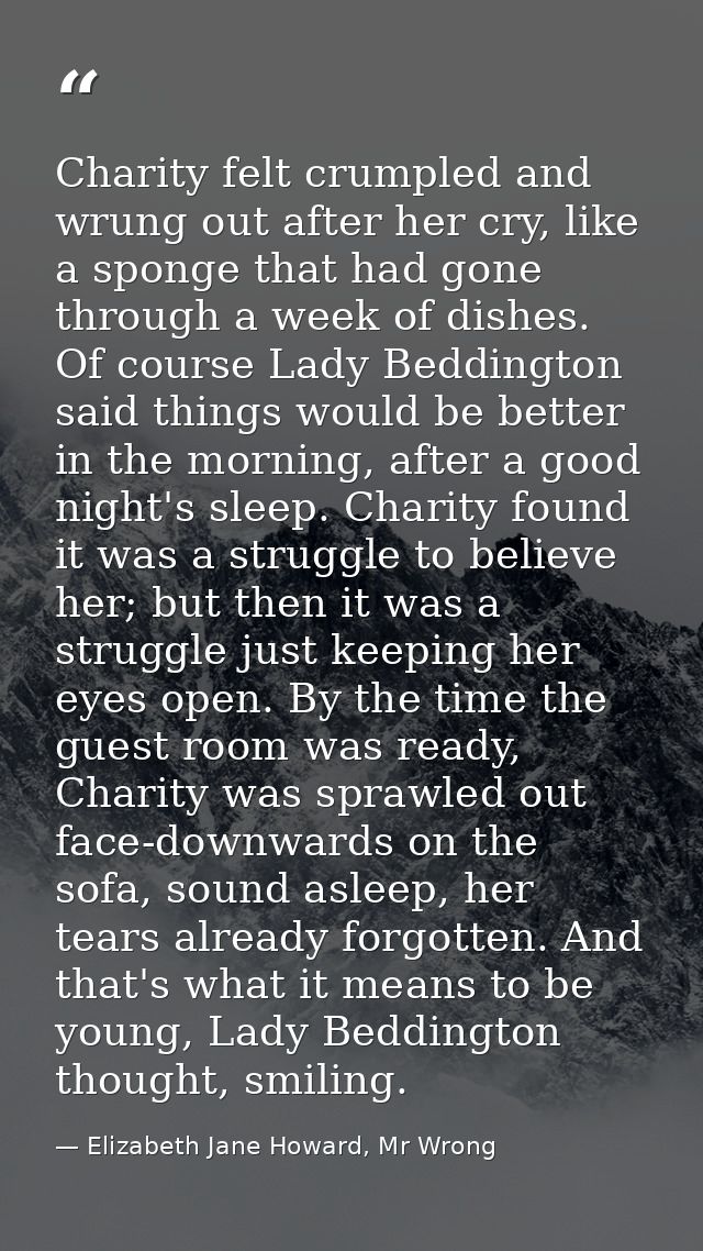 Charity felt crumpled and wrung out after her cry, like a sponge that had gone through a week of dishes. Of course Lady  — Elizabeth Jane Howard, Mr Wrong