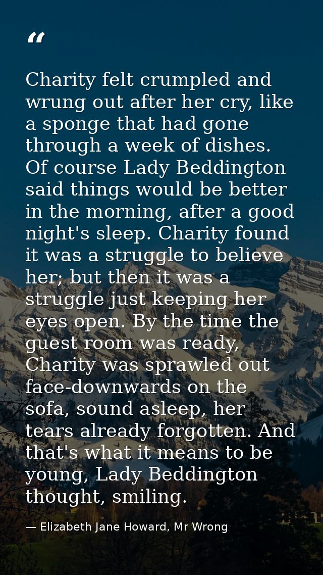 Charity felt crumpled and wrung out after her cry, like a sponge that had gone through a week of dishes. Of course Lady  — Elizabeth Jane Howard, Mr Wrong