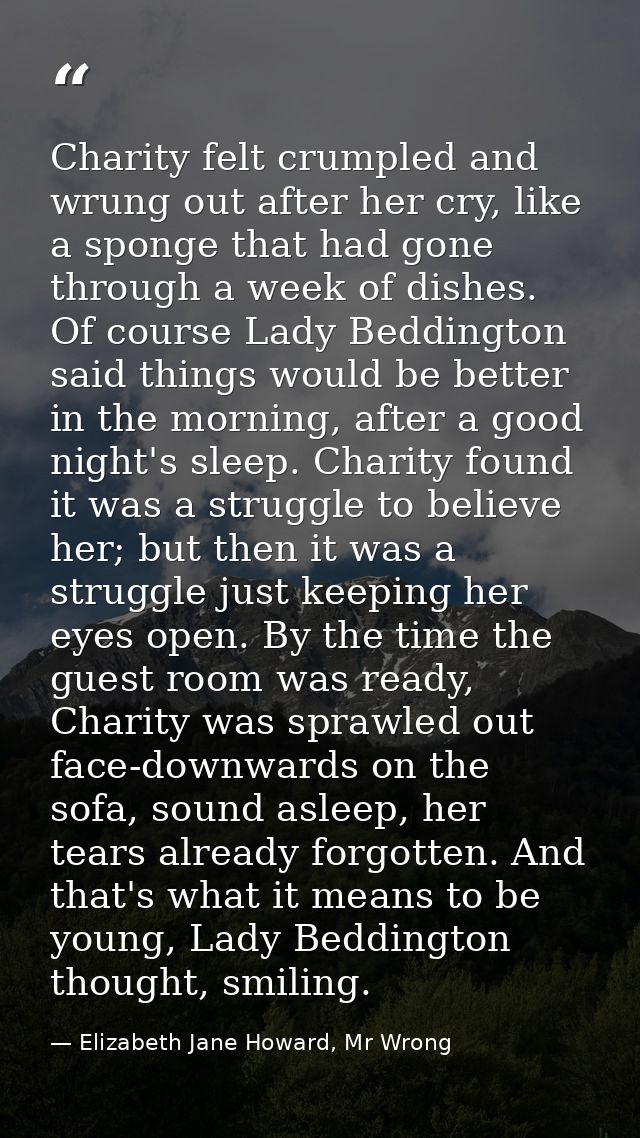 Charity felt crumpled and wrung out after her cry, like a sponge that had gone through a week of dishes. Of course Lady  — Elizabeth Jane Howard, Mr Wrong