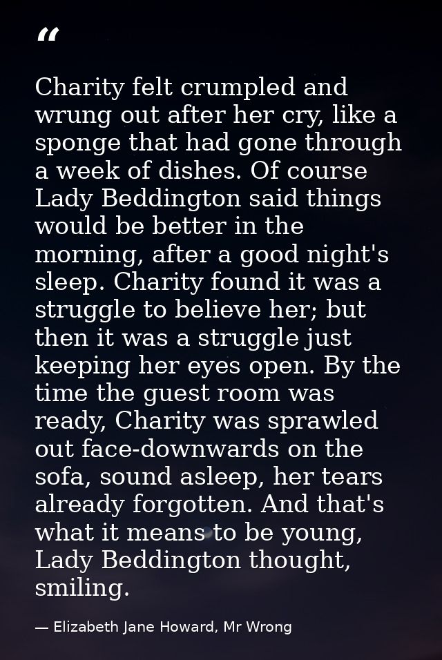 Charity felt crumpled and wrung out after her cry, like a sponge that had gone through a week of dishes. Of course Lady  — Elizabeth Jane Howard, Mr Wrong