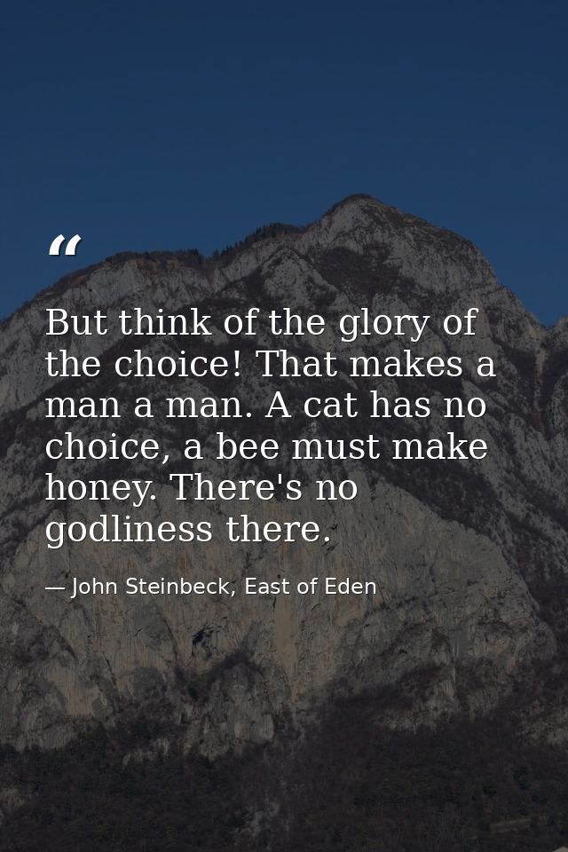 But think of the glory of the choice! That makes a man a man. A cat has no choice, a bee must make honey. There's no god — John Steinbeck, East of Eden