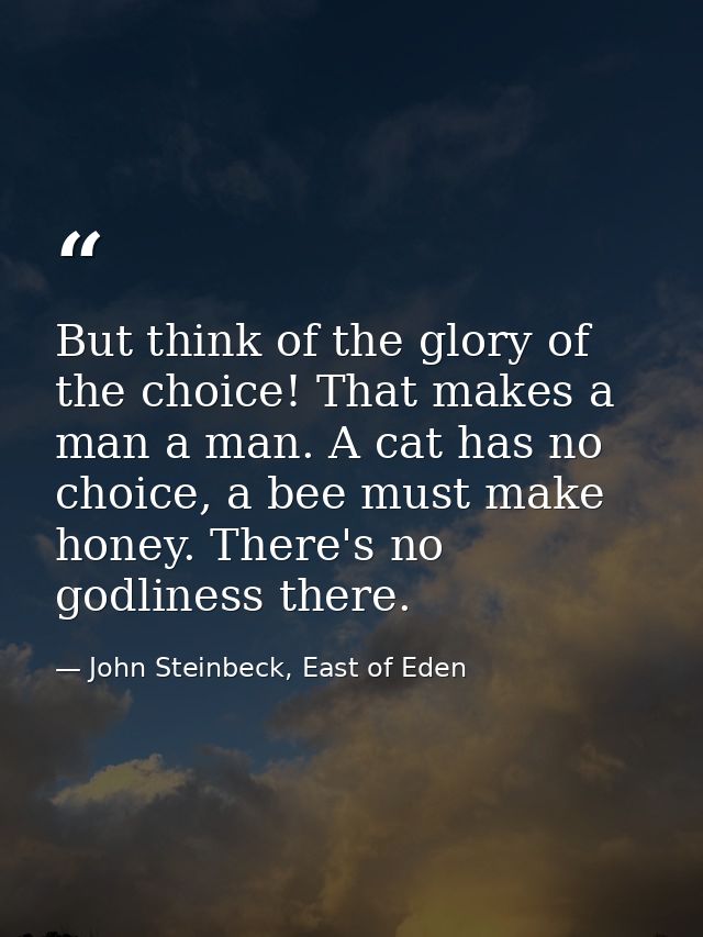 But think of the glory of the choice! That makes a man a man. A cat has no choice, a bee must make honey. There's no god — John Steinbeck, East of Eden