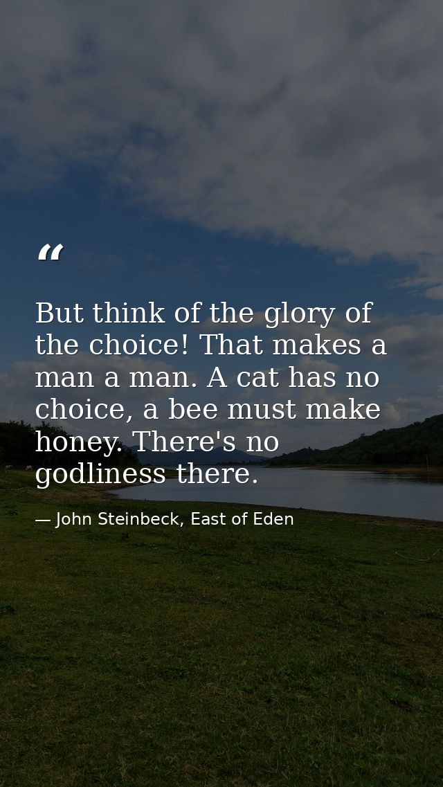 But think of the glory of the choice! That makes a man a man. A cat has no choice, a bee must make honey. There's no god — John Steinbeck, East of Eden