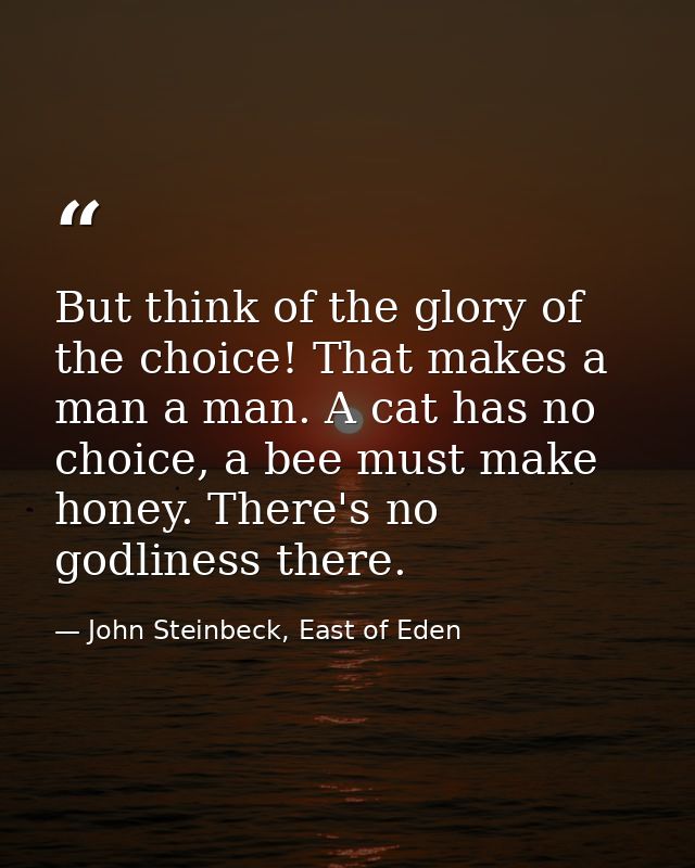 But think of the glory of the choice! That makes a man a man. A cat has no choice, a bee must make honey. There's no god — John Steinbeck, East of Eden