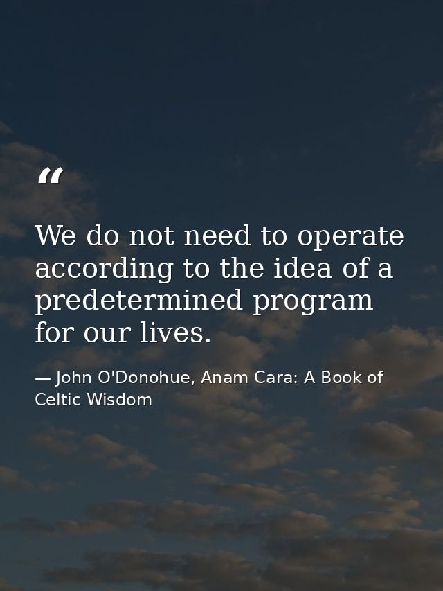 We do not need to operate according to the idea of a predetermined program for our lives. — John O'Donohue, Anam Cara: A Book of Celtic Wisdom