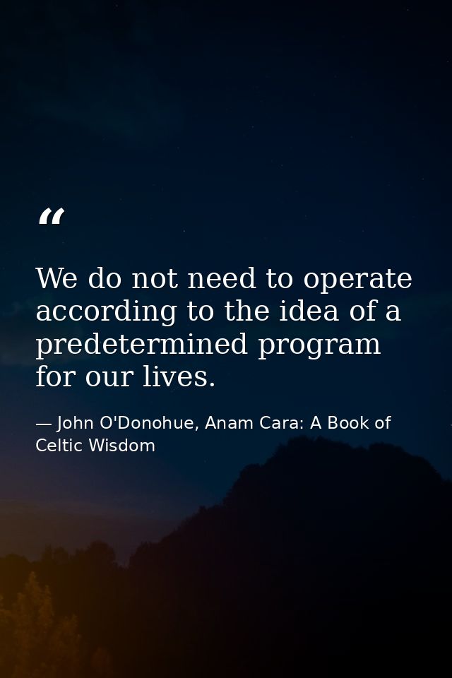 We do not need to operate according to the idea of a predetermined program for our lives. — John O'Donohue, Anam Cara: A Book of Celtic Wisdom