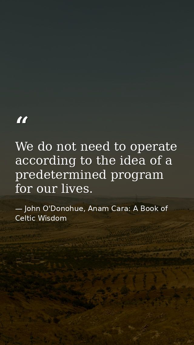 We do not need to operate according to the idea of a predetermined program for our lives. — John O'Donohue, Anam Cara: A Book of Celtic Wisdom