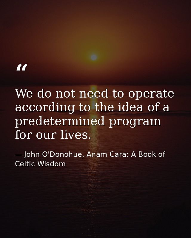 We do not need to operate according to the idea of a predetermined program for our lives. — John O'Donohue, Anam Cara: A Book of Celtic Wisdom