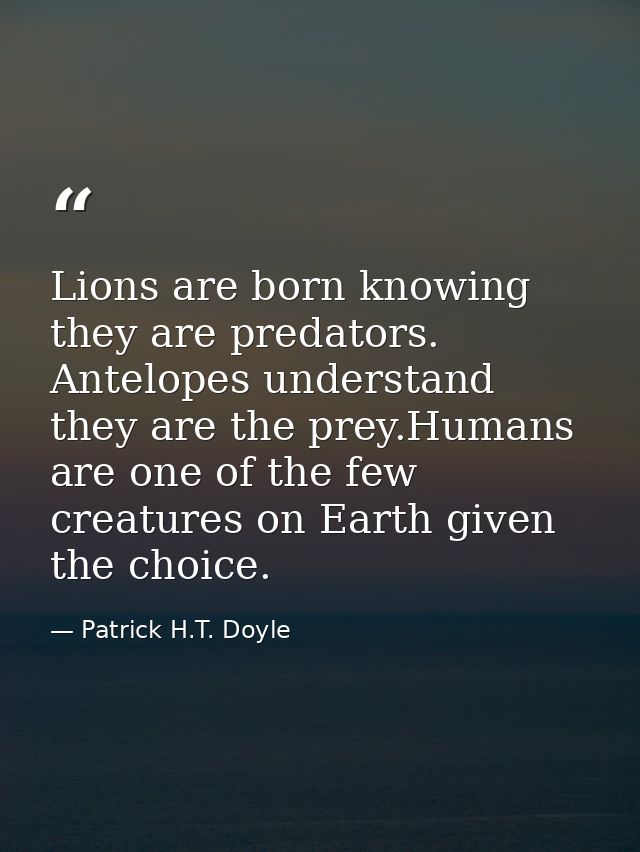 Lions are born knowing they are predators. Antelopes understand they are the prey.Humans are one of the few creatures on — Patrick H.T. Doyle