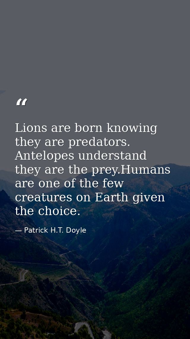 Lions are born knowing they are predators. Antelopes understand they are the prey.Humans are one of the few creatures on — Patrick H.T. Doyle