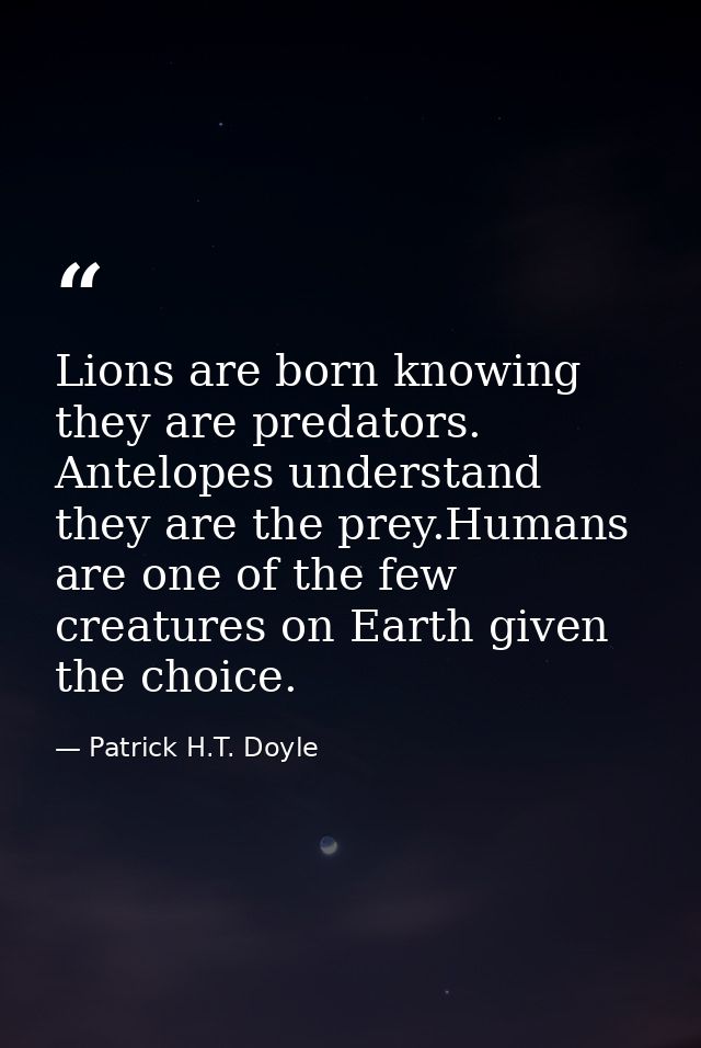 Lions are born knowing they are predators. Antelopes understand they are the prey.Humans are one of the few creatures on — Patrick H.T. Doyle