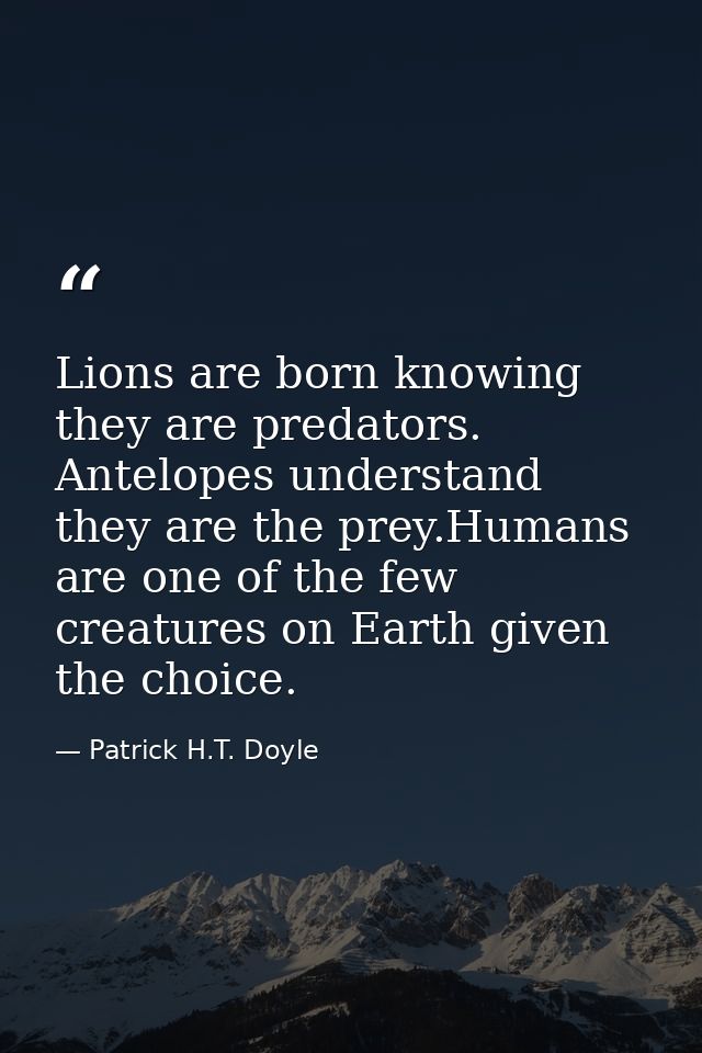 Lions are born knowing they are predators. Antelopes understand they are the prey.Humans are one of the few creatures on — Patrick H.T. Doyle