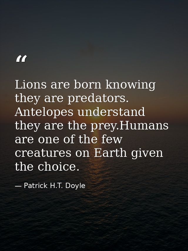Lions are born knowing they are predators. Antelopes understand they are the prey.Humans are one of the few creatures on — Patrick H.T. Doyle