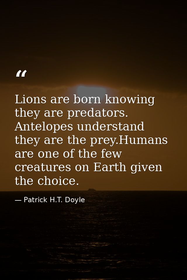 Lions are born knowing they are predators. Antelopes understand they are the prey.Humans are one of the few creatures on — Patrick H.T. Doyle
