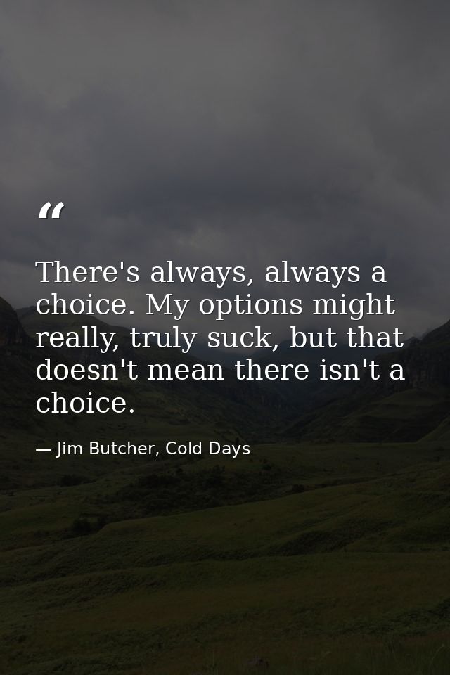 There's always, always a choice. My options might really, truly suck, but that doesn't mean there isn't a choice. — Jim Butcher, Cold Days