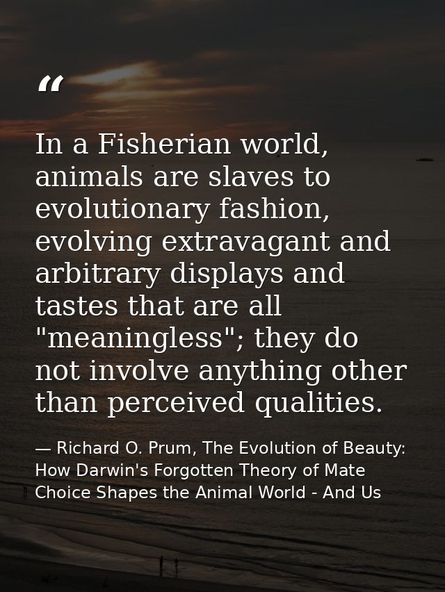 In a Fisherian world, animals are slaves to evolutionary fashion, evolving extravagant and arbitrary displays and tastes — Richard O. Prum, The Evolution of Beauty: How Darwin's Forgotten Theory of Mate Choice Shapes the Animal World - And Us